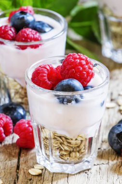 Berry Yoğurtlu müsli