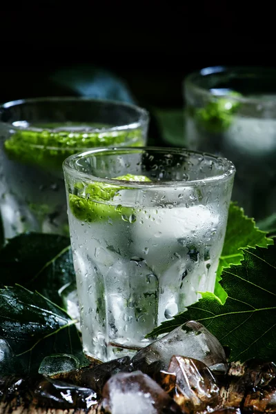 Huş buzlu votka — Stok fotoğraf