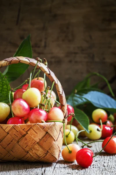 Cerises jaunes dans un panier en osier — Photo