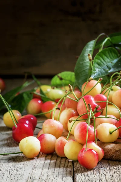 Cerises jaunes roses — Photo