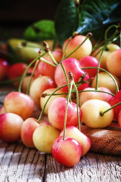 Pink yellow cherries — Stock Photo, Image