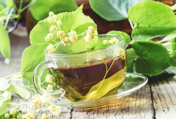 Linden tea, selective focus — Stock Photo, Image