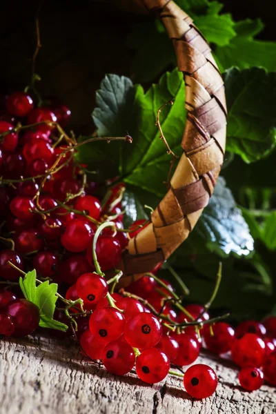 Röda vinbär, mörka vintage trä bakgrund — Stockfoto