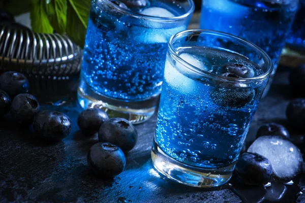 Cocktail med soda, gin och bär — Stockfoto