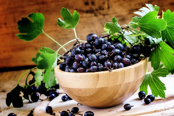 Ribes nero in ciotola — Foto Stock