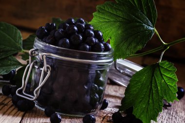 Taze chokeberries cam kavanozda