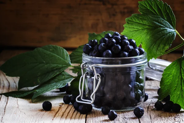 Fresh chokeberries in a glass jar — Stock Photo, Image