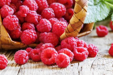 Sonbahar ahududu, seçici odak