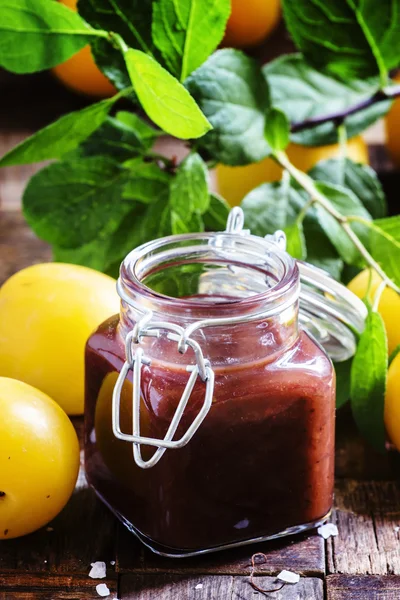 Plum sauce, selective focus — Stock Image Plum sauce, selective focus Royalty Free Stock Photos