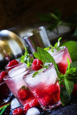 Alkol mojito ahududu ile kokteyl