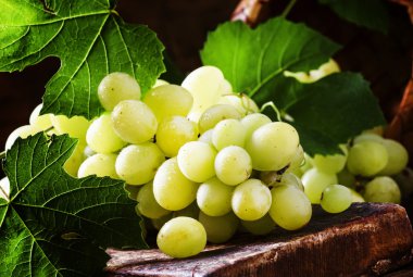Yeşil çekirdeksiz üzüm