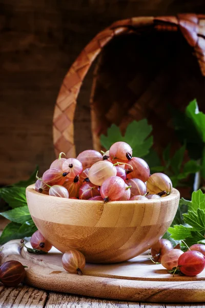 Rosa söt krusbär i skål — Stockfoto