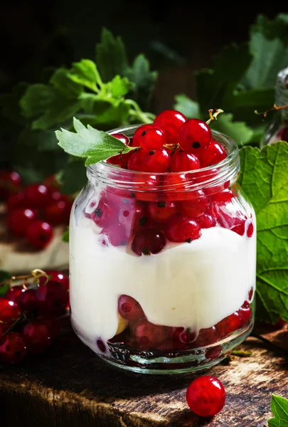 Вершковий йогурт з ягодами — стокове фото