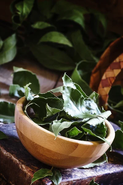 Laurel bay leaves in bowl — Stock Photo, Image