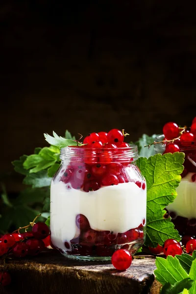 Krémes joghurt bogyós gyümölcsök — Stock Fotó