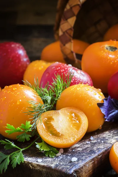 Pomodori arancioni su sfondo scuro — Foto Stock
