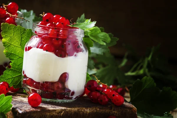 stock image Creamy yogurt with berries red currant