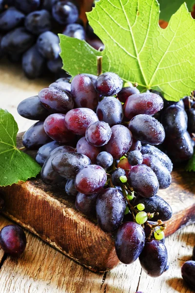 Uvas azules en mesa de madera vieja — Foto de Stock