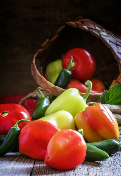 Bell pepper, tomatoes and chili peppers — Stock Photo, Image