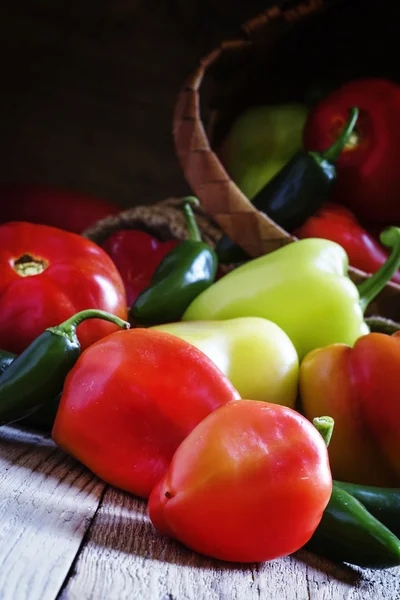 Paprika, tomat dan cabai — Stok Foto