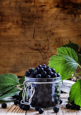 Kavanoz içinde taze chokeberries