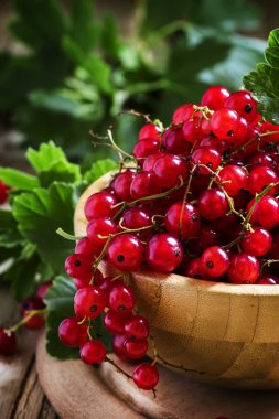 kase kırmızı kuş üzümü