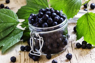 Kavanoz içinde taze chokeberries