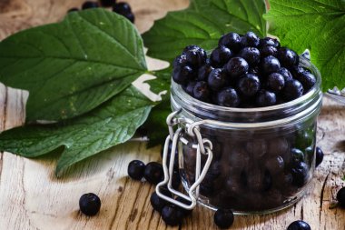 Kavanoz içinde taze chokeberries