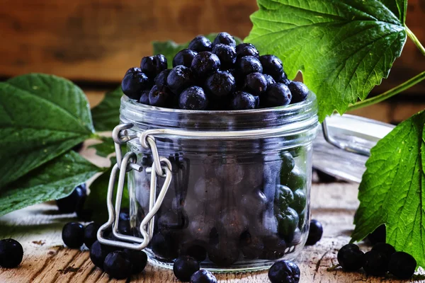 Fresh chokeberries in jar — Stock Photo, Image