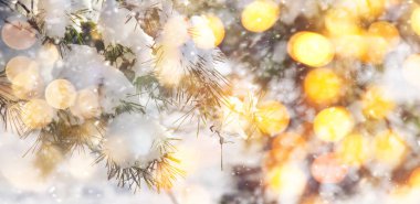 Mutlu yıllar ve Kar Çamı şubeleriyle Mutlu Noeller. Ağaçlı ve altın ışıklı Doğal Tatil Manzarası. Boşluğu Kopyala