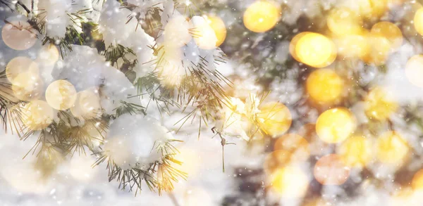 Gelukkig Nieuwjaar Vrolijk Kerstfeest Achtergrond Met Sneeuwdendennen Takken Winter Natural — Stockfoto