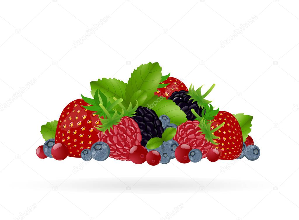 Set of colorful cartoon berries: blueberry, blackberry, raspberry, strawberry, cranberry, mint leaves. Vector illustration, isolated on white