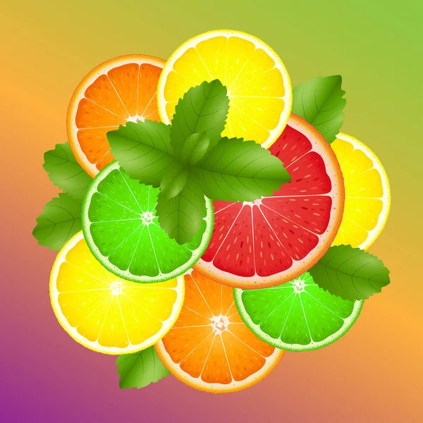 柑橘片 柚子和薄荷叶 色彩斑斓的背景 矢量说明 — 图库矢量图片