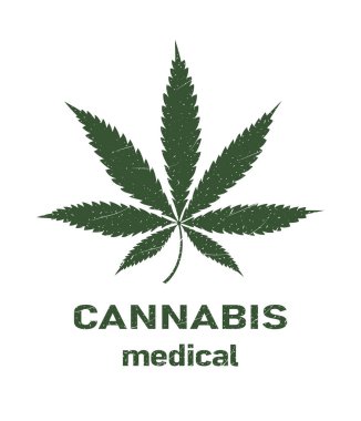 Kenevir yaprağı logosu tasarımı. Vector Hemp lüks retro çizik simgesi. Marihuana etiketi