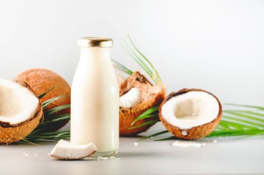 Hindistan cevizi sütsüz vejetaryen sütü şişede Gri arka plan Kopya alanı ile 