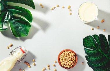Gri masa arkasında vegan soya sütü ve fasulyesi. Sütsüz süt konsepti. Diyet içeceği. Sert ışık. Boşluğu kopyala