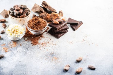 Çeşitli organik kakao ürünleri: fasulye, toz, tereyağı, koyu çikolata, gri masa arkasında rendelenmiş kakao.