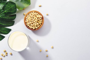 Gri masa arkasında vegan soya sütü ve fasulyesi. Sütsüz süt konsepti. Diyet içeceği. Sert ışık. Boşluğu kopyala