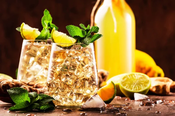 Ginger Ale Alcoholic Cocktail Beer Lime Lemon Mint Leaves Glaass — стокове фото