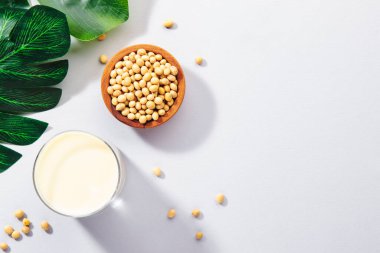 Gri masa arkasında vegan soya sütü ve fasulyesi. Sütsüz süt konsepti. Diyet içeceği. Sert ışık. Boşluğu kopyala