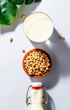 Gri masa arkasında vegan soya sütü ve fasulyesi. Sütsüz süt konsepti. Diyet içeceği. Sert ışık. Boşluğu kopyala