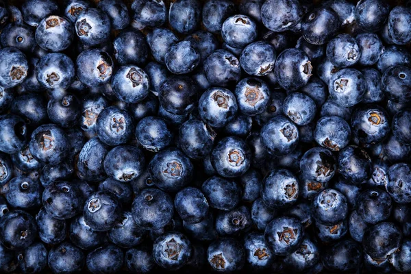 Mirtilos Grandes Maduros Com Gotas Água Fundo Comida Close — Fotografia de Stock