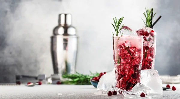 Cranberry Cocktail Vodka Ice Juice Rosemary Red Berries Highball Glass — Stock Photo, Image