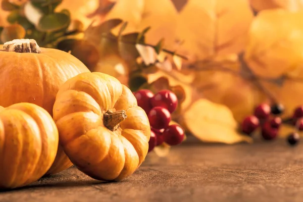 Şükran Günü Balkabakları Kırsal Ahşap Arkaplanda Yaşıyor - Sonbahar Hasat Festivali Masa Ayarları, Kopya Alanlı Sancak