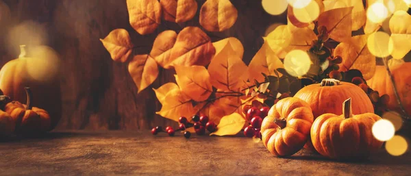 Abóboras Ação Graças Ainda Vida Fundo Madeira Rústica Autumn Harvest — Fotografia de Stock