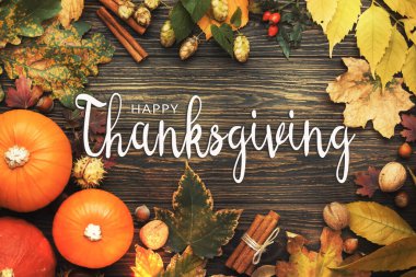 Balkabakları, fındıklar, dökülen yapraklar ve baharatlarla dolu Şükran Günü geçmişiniz kutlu olsun.