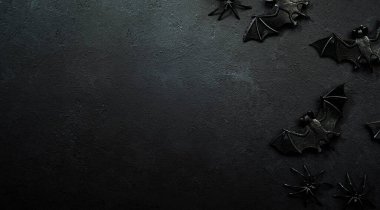 Kopya alanı olan yarasalar ve örümceklerle Cadılar Bayramı 'nın siyah arka planı kutlu olsun.