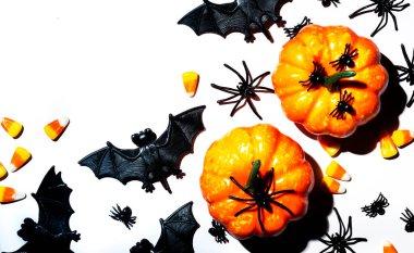 Cadılar Bayramı 'nın beyaz arka planında balkabakları, yarasalar, örümcekler, kopyalanmış mısır şekerlemeleri. Sert ışık ve sert gölgeler