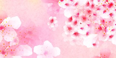 Kiraz Çiçekleri Japon desenli suluboya arka planı