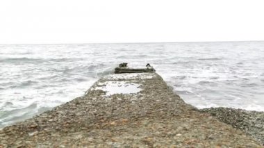 Karadeniz. Dalgalar deniz. Kayalık sahil. Bulutlu. Gel-git. Deniz köpüğü. Rusya deniz. Çakıl plajı. Rekreasyon, turizm, seyahat. Sochi Beach. Sakin manzara. Dalgakıran. Önce yağmur deniz.